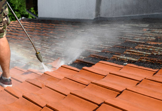 Why Choose Our Certified Pressure Washing Experts for Your Project Needs in Woodstock, IL?