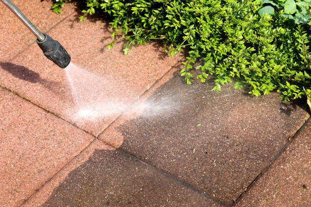 Deck Cleaning Services in Woodstock, IL